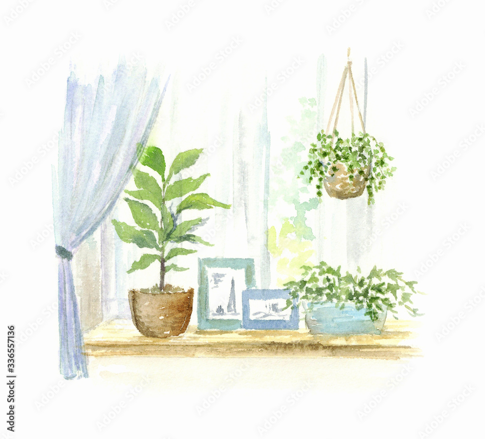 窓 観葉植物 水彩イラスト Stock Illustration Adobe Stock