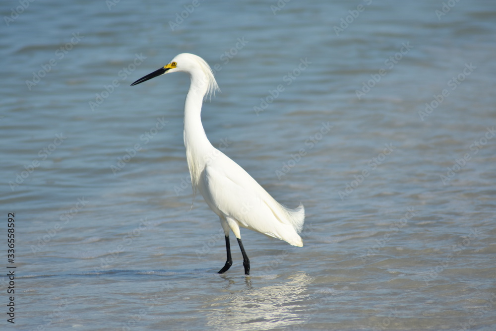 crane1 crane1