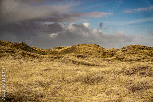 A wide field of denmark