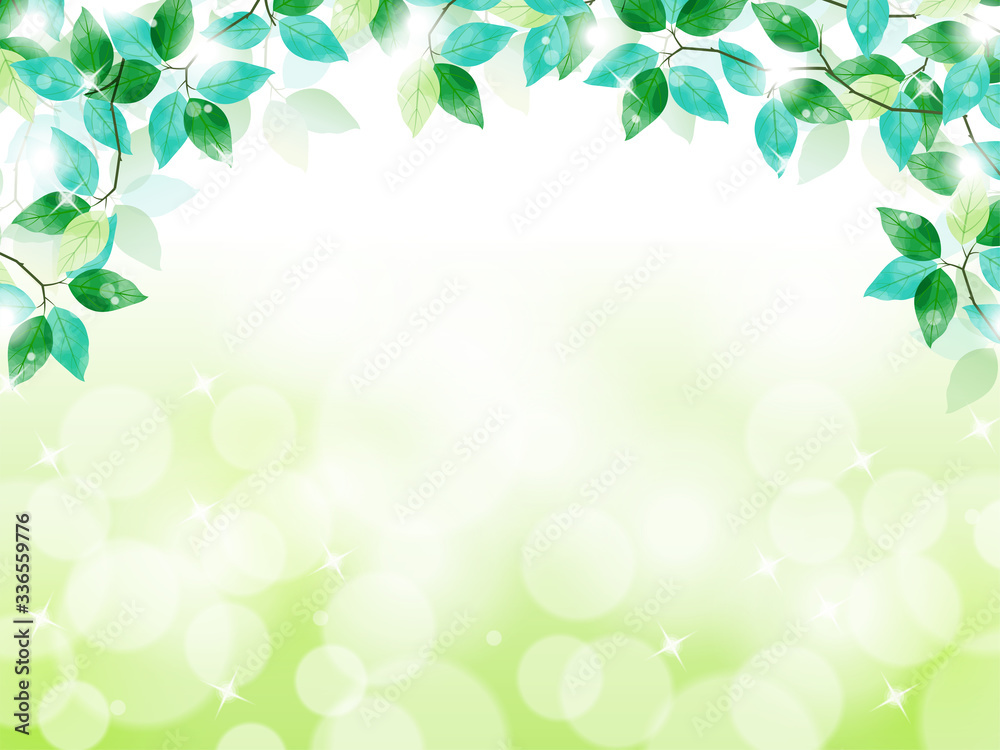フレーム 葉 緑 新緑 植物 風景 初夏 イラスト Stock Vector Adobe Stock
