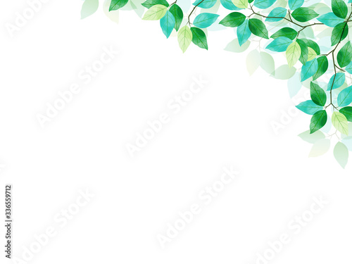 背景、フレーム、葉、緑、新緑、植物、風景、初夏、ベクター、イラスト