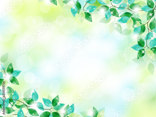 背景、フレーム、葉、緑、新緑、植物、風景、初夏、イラスト