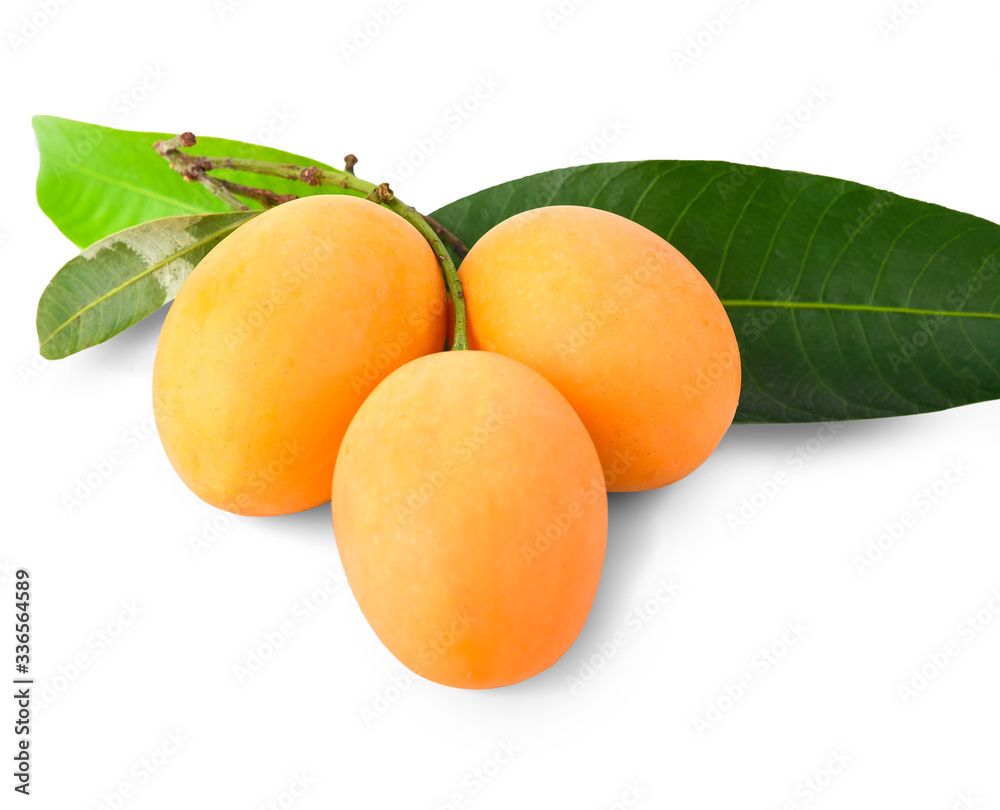 Maprang Fruit (Marian plum, Plum mango) isolated on white background. with clipping path Maprang Fruit (Marian plum, Plum mango) isolated on white background. with clipping path