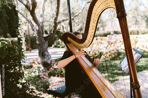 Canvastavla woman playing a harp at an outdoor wedding