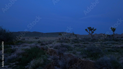The desert of Nevada by night - travel photography