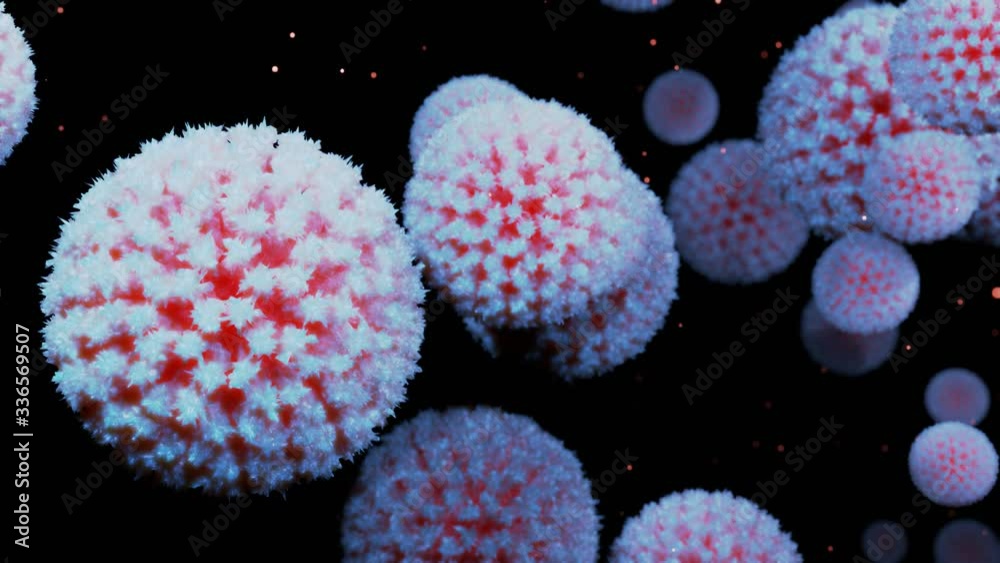 close-up coronavirus type covid-19, h1n1, bird flu or swine flu move smoothly in fluid 3d representation of virus as microbiological microscopic looped background. Red white gradient 5