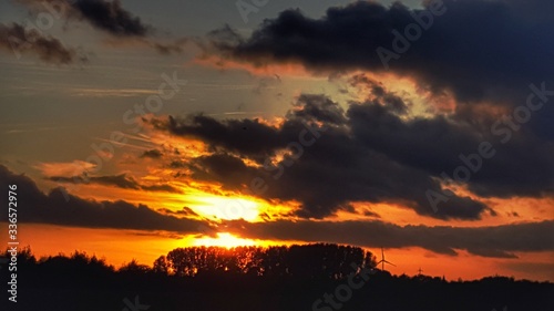 Orange sunset with tree silhouettes