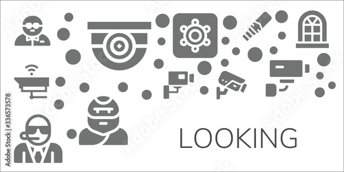 looking icon set
