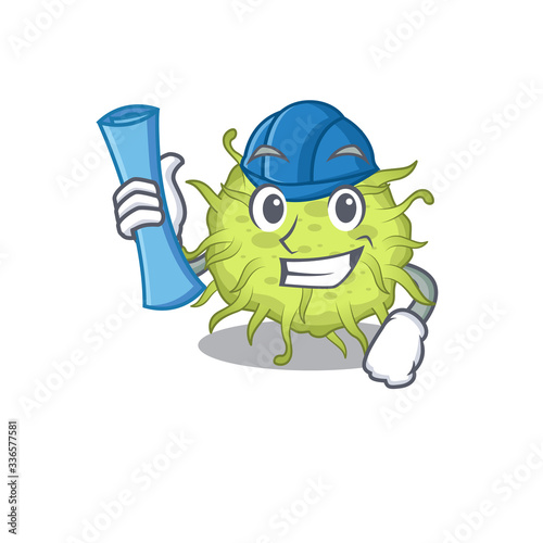 Cartoon character of bacteria coccus brainy Architect with blue prints and blue helmet
