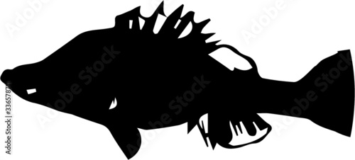 Black silhouette of golden perch