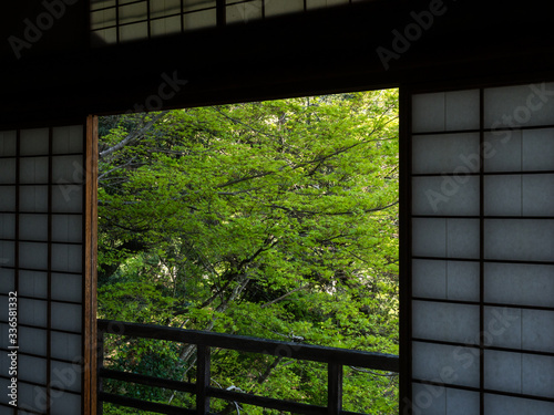 Sliding doors of traditional Japanese house with view of the garden
