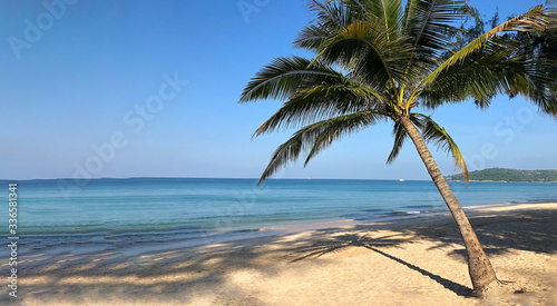 Beach and palm trees on the island of Phuket in Thailand © Liubov