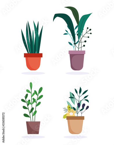 potted plants foliage decoration interior isolated design