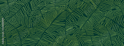 Fotografia, Obraz Tropical banana leaf Wallpaper, Luxury nature leaves pattern design, Golden banana leaf line arts, Hand drawn outline design for fabric , print, cover, banner and invitation, Vector illustration