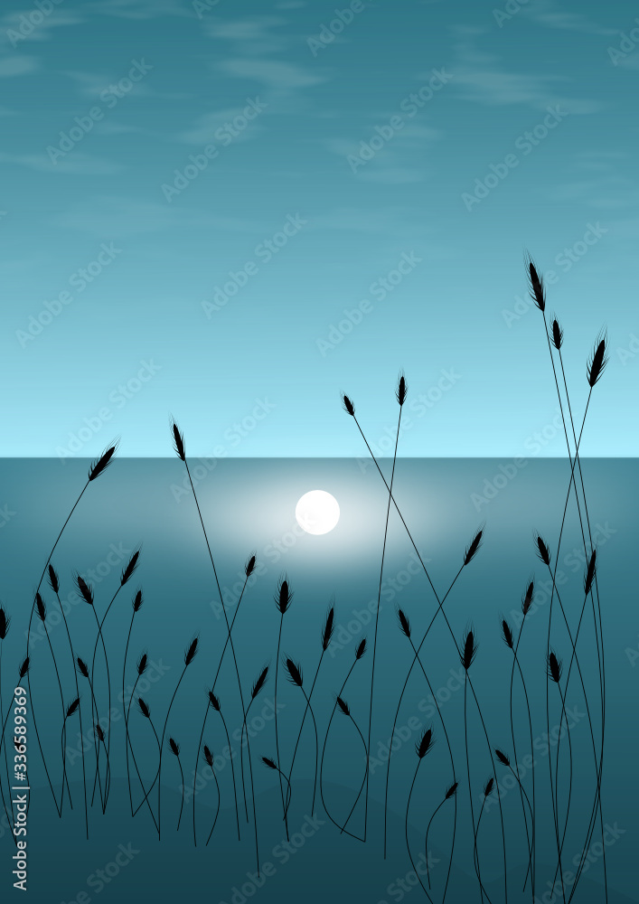 Fototapeta premium night moon reflection on water