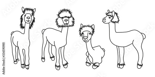 Vector set illustration of cute character alpacas. Isolated outline cartoon illustration.