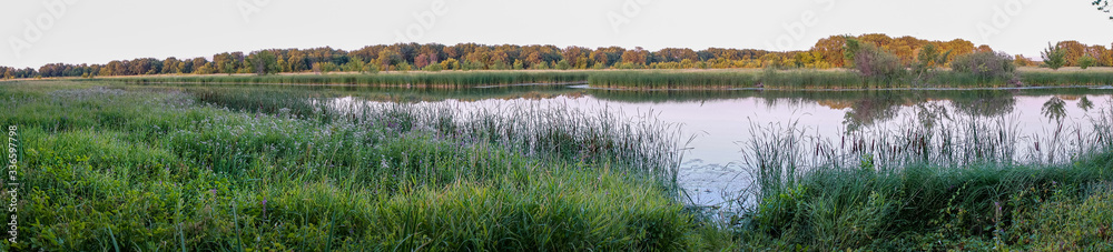 Panorama of a small quiet river against the forest. Summer landscape Panorama of a small quiet river against the forest. Summer landscape