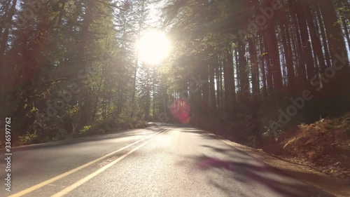 Driving On Forest Road On A Sunny Day In Autumn, Oregon, USA photo