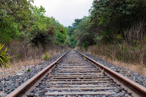 Railroad track Summer afternoon in the middle of the forest © LeoncioJesus