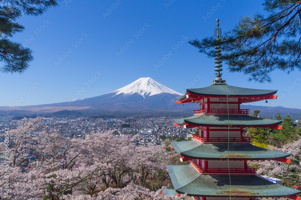 Fototapeta premium Góra Fuji z Niikurayama w prefekturze Yamanashi