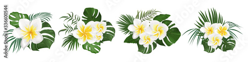 Tropical flowers frangipani and leaves photo