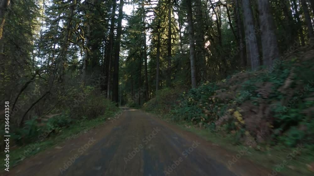 Driving Down One Way Road Through The Forest On An Autumn Day In Oregon, USA Driving Down One Way Road Through The Forest On An Autumn Day In Oregon, USA