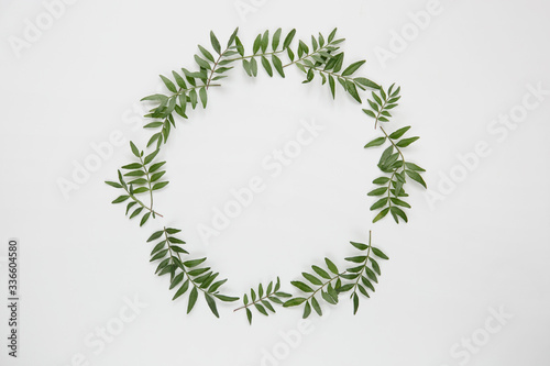 Wreath of green pistachio branches on a white background, flat top view 