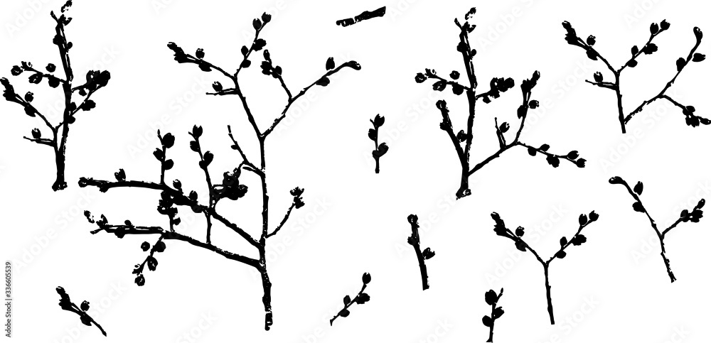 Tree branches. Texture, silhouette. Vector illustration.