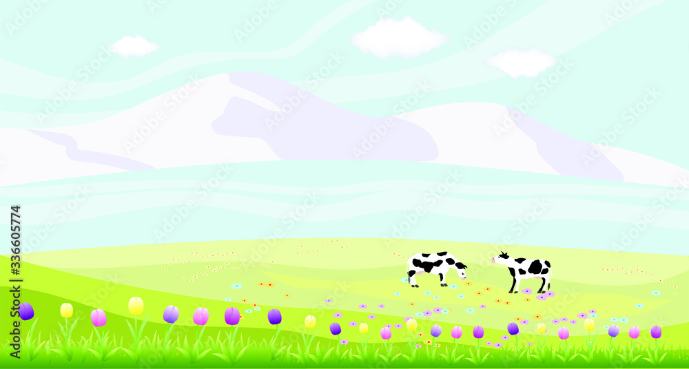 Fresh alpine meadow, mountains, cows. Flower field with tulips. Vector illustration.