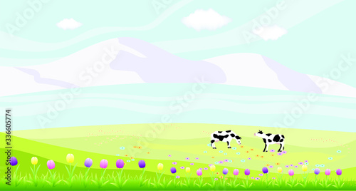 Fresh alpine meadow, mountains, cows. Flower field with tulips. Vector illustration.