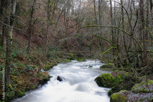 small waterfall in the forest