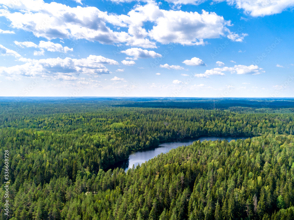 Aerial view of blue lakes and green forests on a sunny summer day in Finland. drone photography