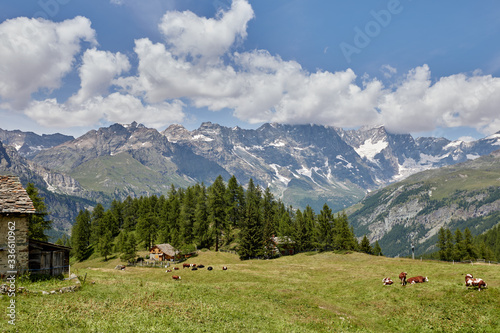 A breathtaking view of several small houses among a bright green meadow against the backdrop of huge mountains.