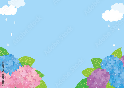 雨上がりの紫陽花の風景