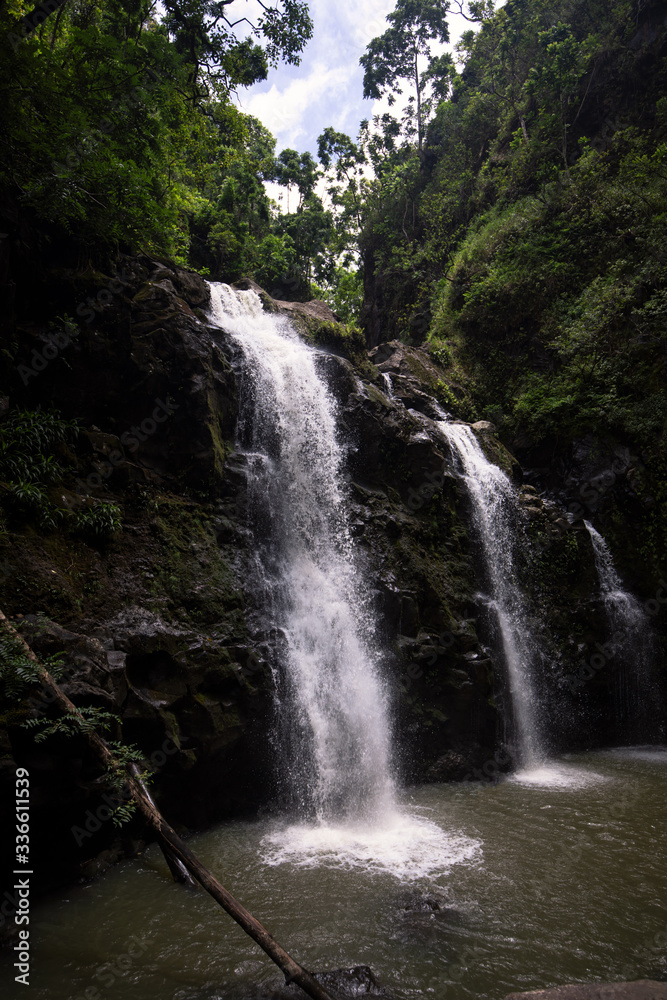 Fototapeta premium Wodospad Hawajski