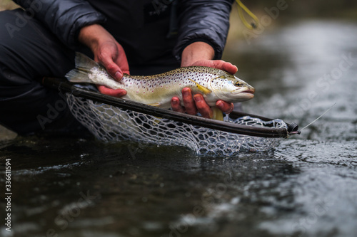 Recreational Fly Fishing for trout photo