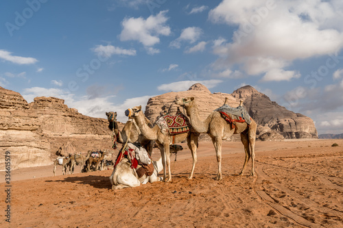 Photography A series of photos from a jeep Safari in the Wadi Rum desert, Jordan