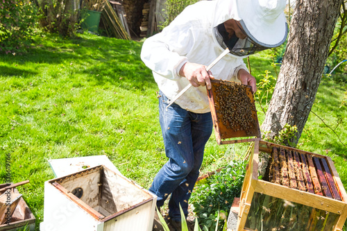 Beekeeper is looking swarm activity over honeycomb on wooden frame, control situation in bee colony. photo