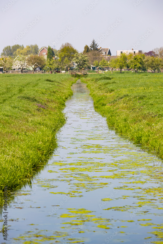 Graben zwischen Feldern in den Niederlanden
