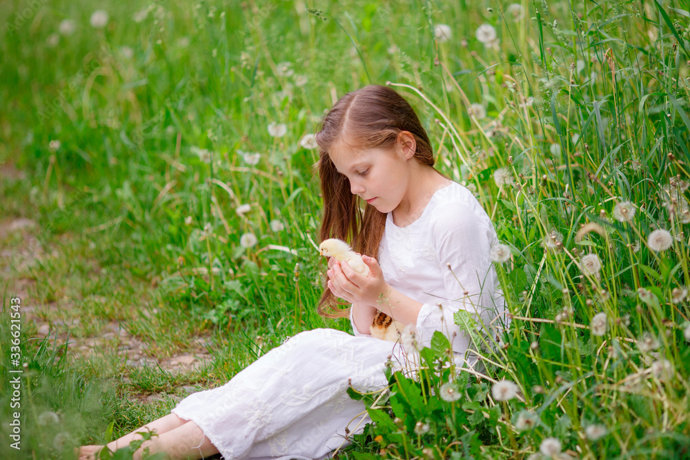 girl child holding a chicken in her hands sitting on the green grass, spring girl child holding a chicken in her hands sitting on the green grass, spring