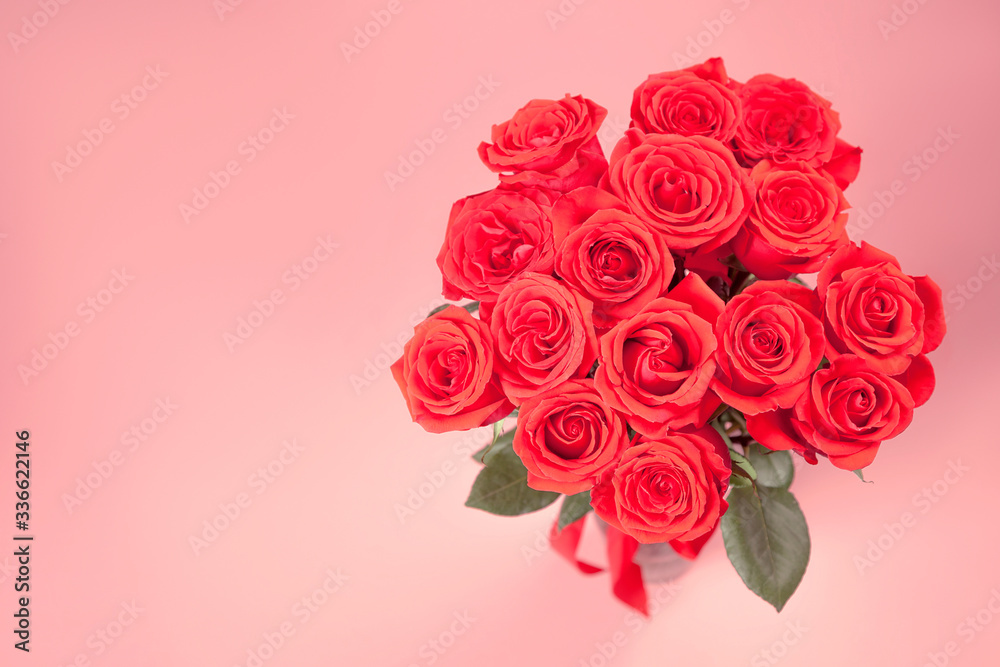 Bouquet of red roses on pink background Bouquet of red roses on pink background