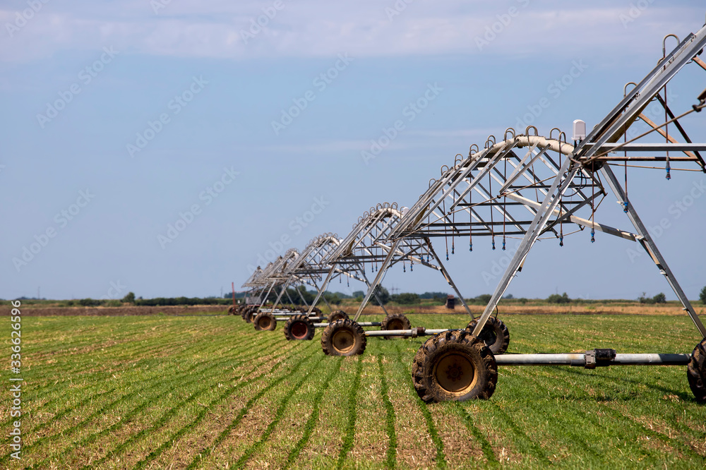 Fototapeta premium Sprinkler irrigation system on agriculture field