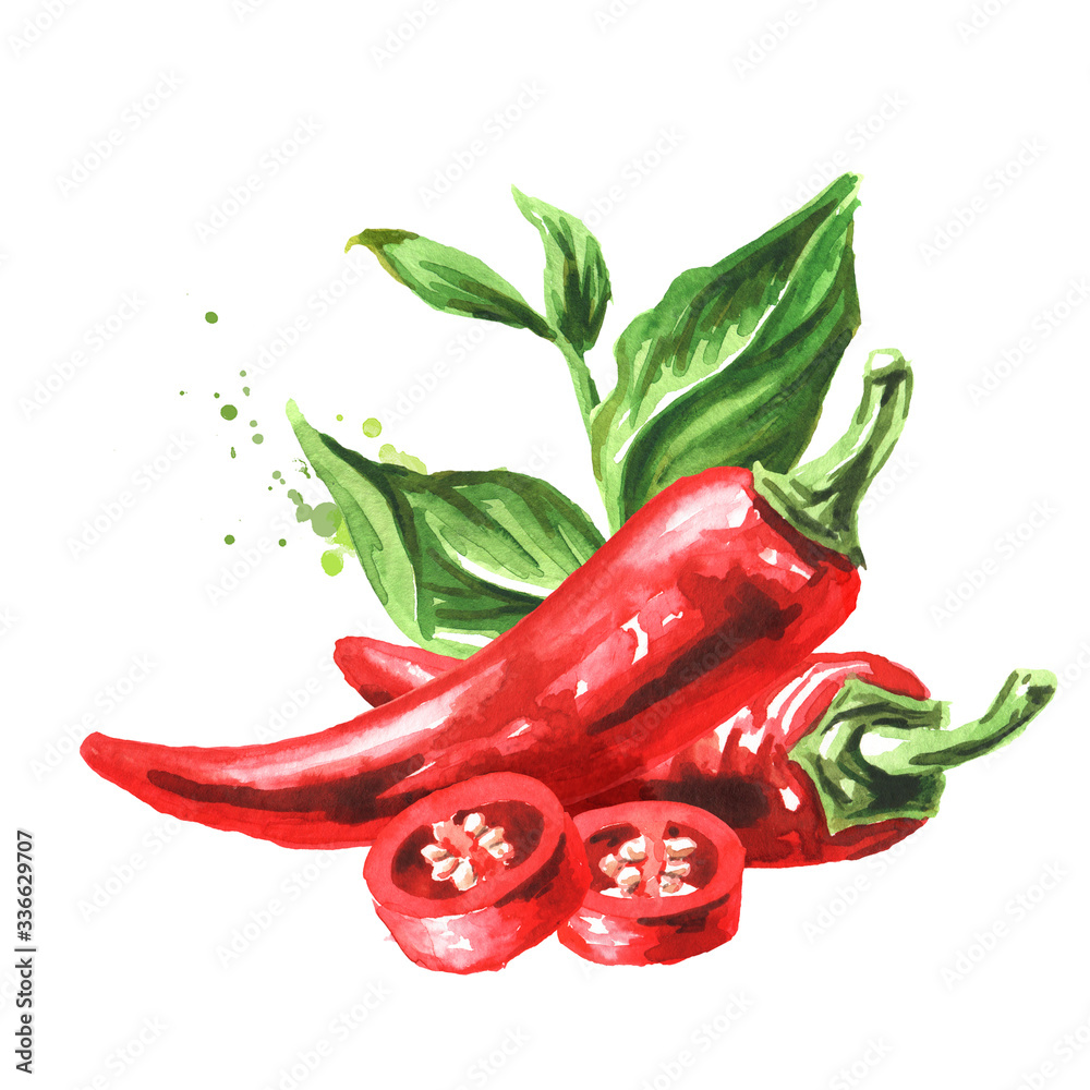 Fototapeta Czerwona papryczka chili z zielonymi liśćmi. Ręcznie rysowane akwarela ilustracja na białym tle