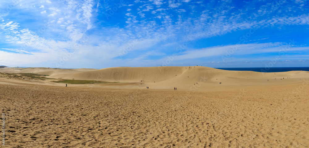 Naklejka premium 鳥取砂丘