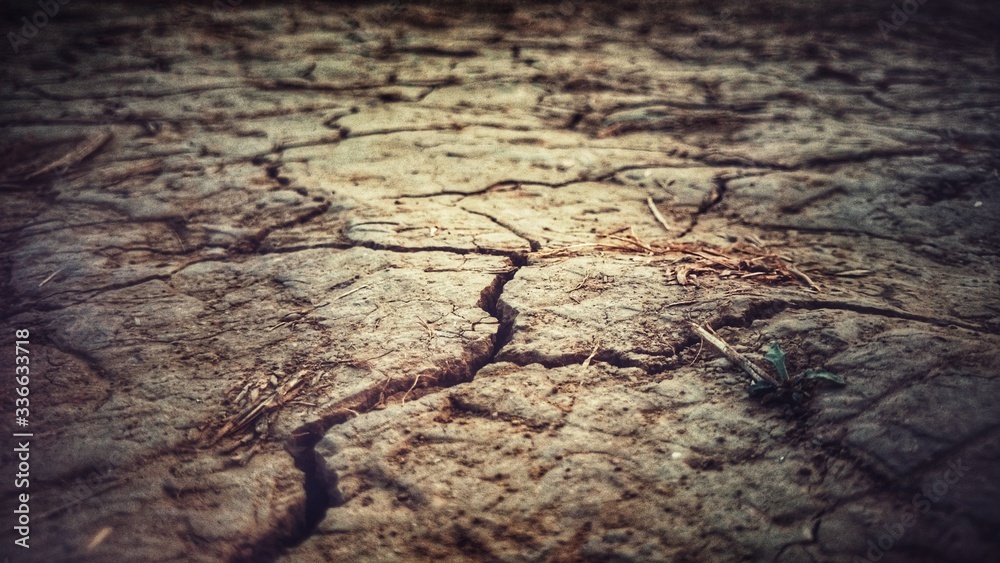 Obraz premium old cracked earth