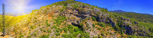 Summer landscape with mountains, green forest, and blue sky in bright sunny day. Travel background.