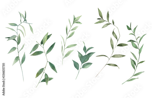 Watercolor floral greenery set white background. Hand drawn isolated illustration. Wedding design