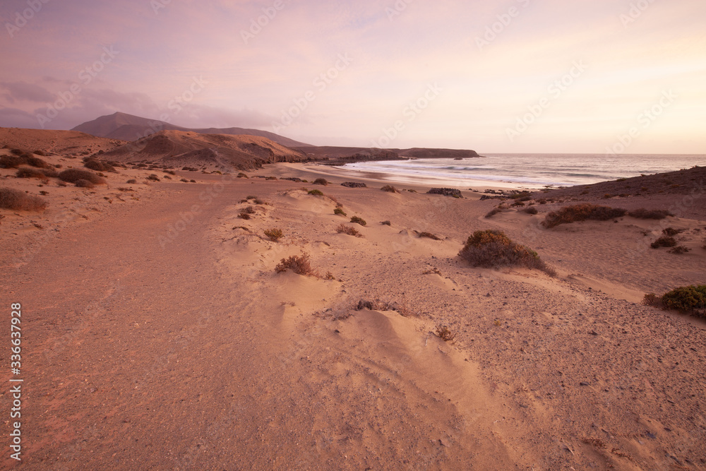 Lanzarote Island Papagayo turquoise beach landscape at Canary Islands, Spain