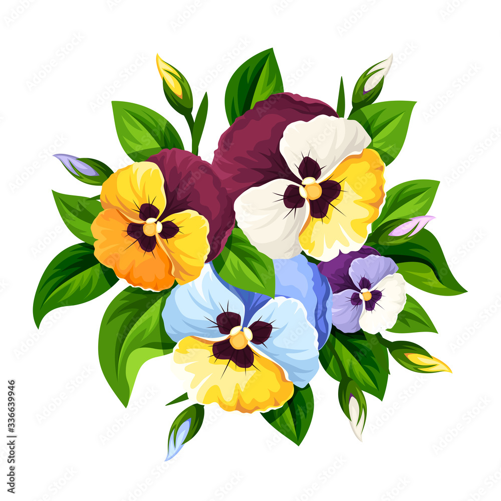 Pansy Flower Clip Art pansy-flower-clip-art
