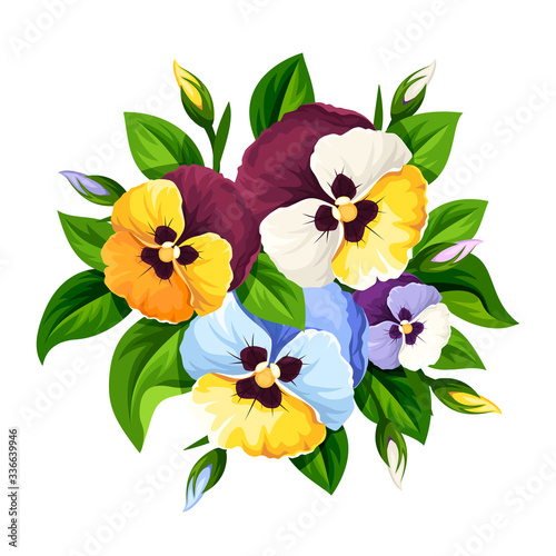 Vector bouquet of colorful pansy flowers isolated on a white background.